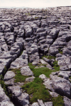 Limestone Karst Formation Yorkshire