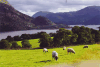 Pasture Lake District