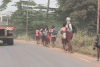 School Children Way Home