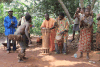 Dance Group Baka Village