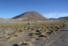 View Geysers Del Tatio