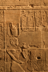 Taller Two Cartouches Nomen