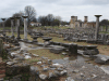 Columns Forum Basilica B