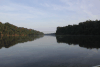 Along Essequibo River