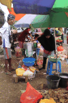 Grinding Coconut Meat