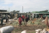 Street Vendors Selling Produce