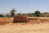 Brick Kiln