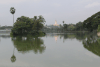 Shwedagon Pagoda Across Kandawgyi