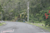 Damage Power Lines Hurricane