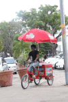 Ice Cream Vendor