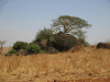 Rock Outcrop Kidepo Valley